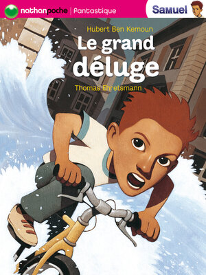 cover image of Le grand déluge